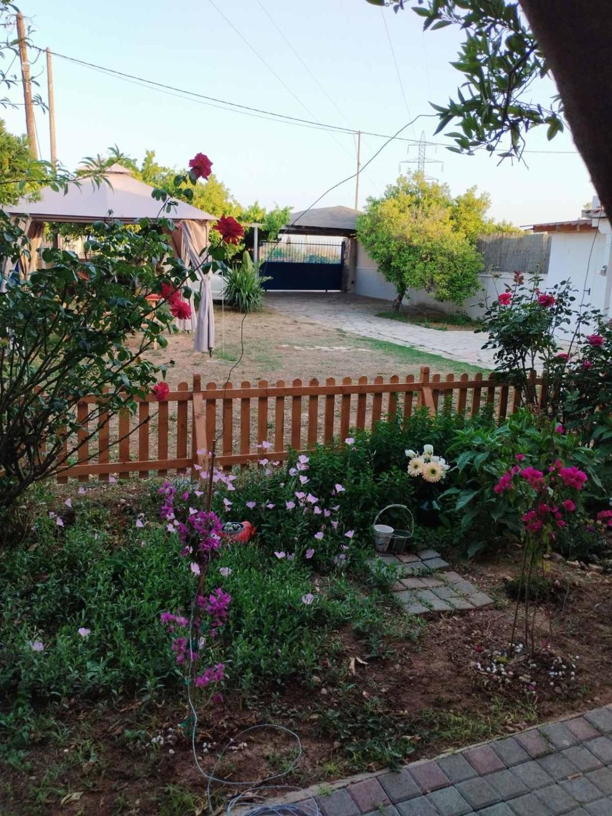 דירות נאפפליו Floras House מראה חיצוני תמונה