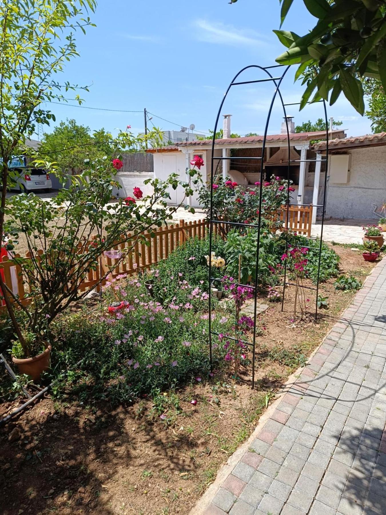 דירות נאפפליו Floras House מראה חיצוני תמונה