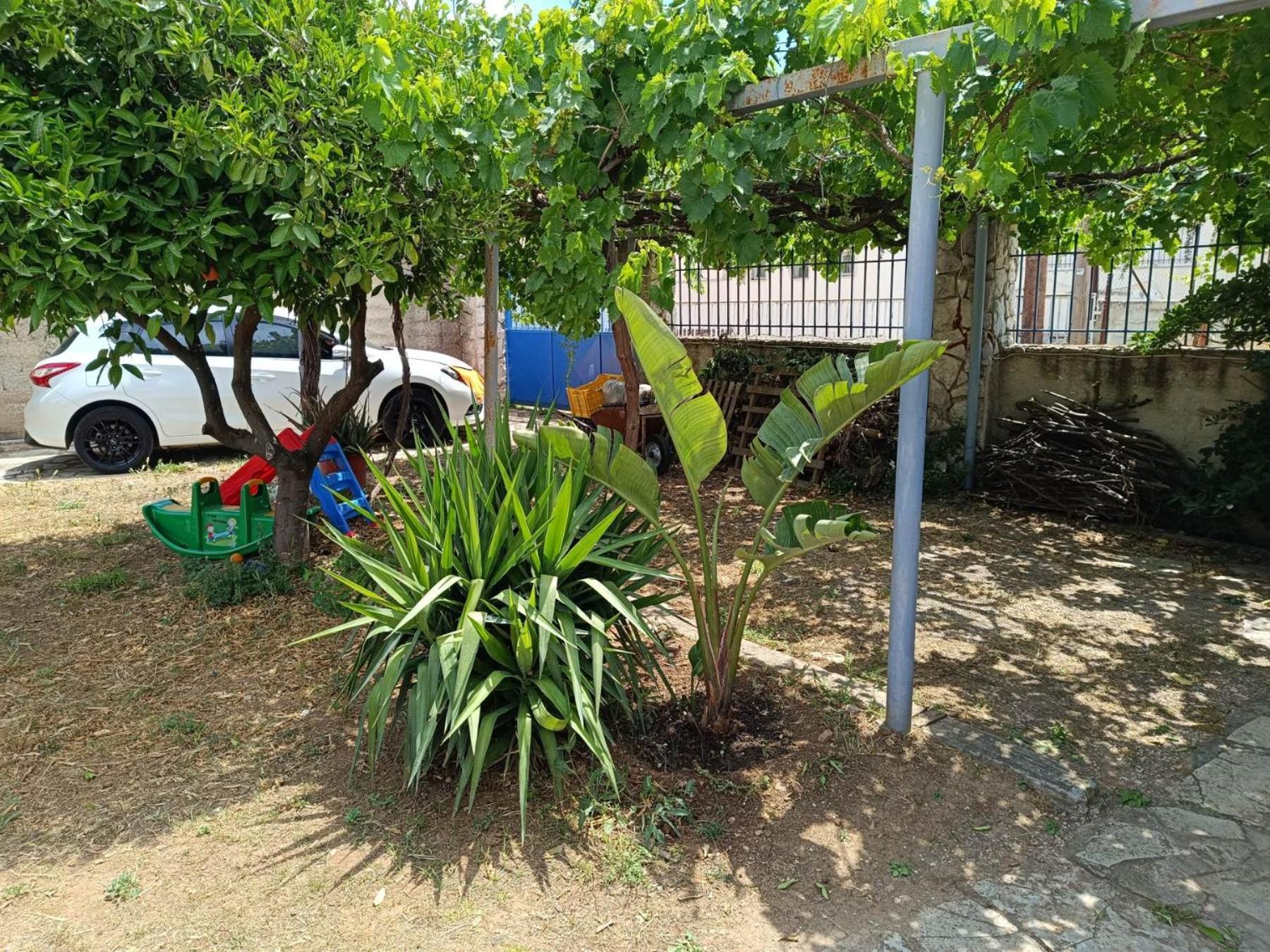 דירות נאפפליו Floras House מראה חיצוני תמונה